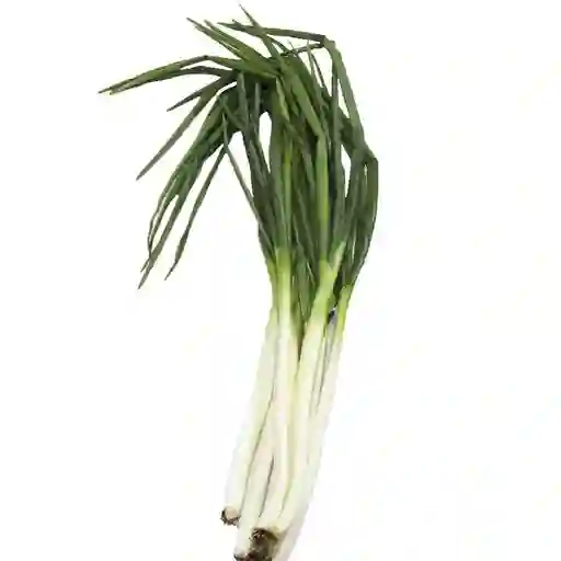 Cebolla Larga